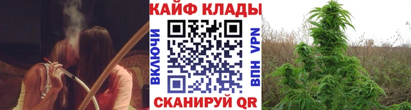 Где можно купить наркотики Тамбов Галлюциногенные грибы  ЭКСТАЗИ  Канабис  Амфетамин  ГАШ 