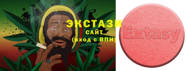стаф Верея