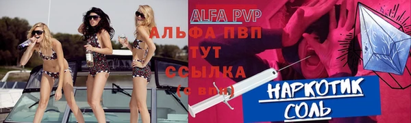 стаф Верея