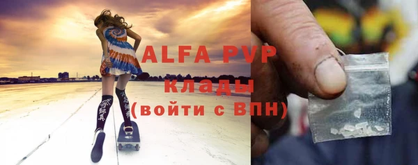 стаф Верея