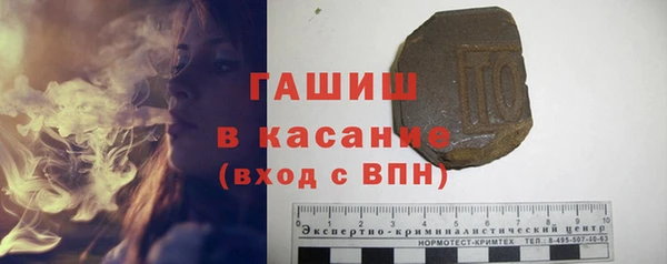 стаф Верея
