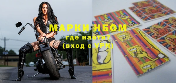 стаф Верея