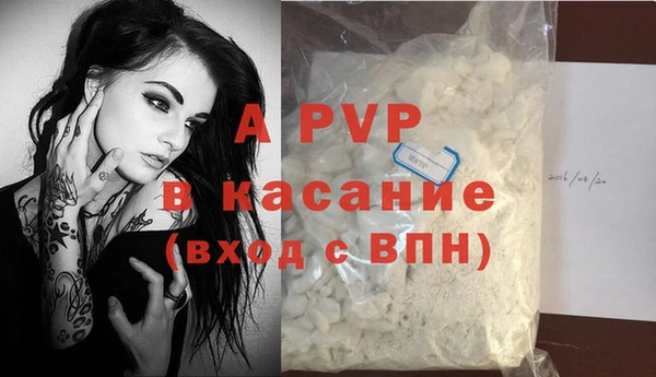 стаф Верея