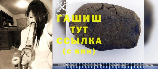 стаф Верея