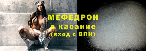 стаф Верея