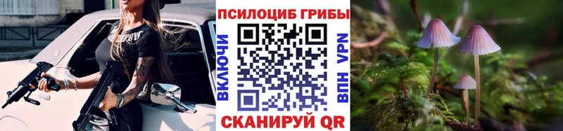 Псилоцибиновые грибы Psilocybe  дарк нет официальный сайт  Тамбов 